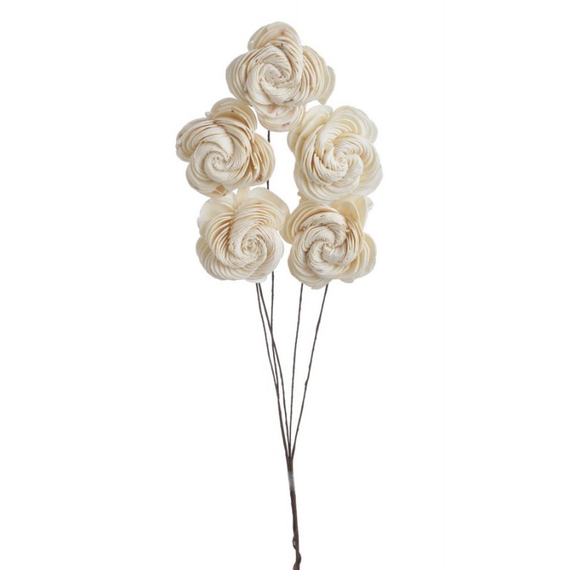 Shola spike flower 6cm+pik, biały, 5szt/pacz - susz