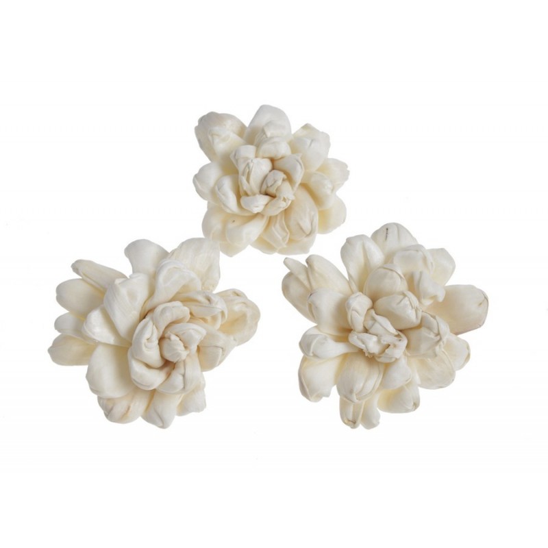 Shola gandharaj 6cm, 16szt-pacz..6cmØ..60-1 bags..16 pcs-bag....natural