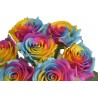 Tęczowa róża 7szt-pęcz. ..35cm..72-12 bu..7 pcs-bu