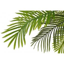 Palma w doniczce 120cm....4-0 pcs......GREEN