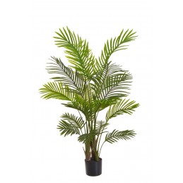 Palma w doniczce 120cm....4-0 pcs......GREEN