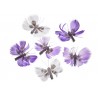 Motyl na klipie 6szt-kpl..6cmH...PURPLE