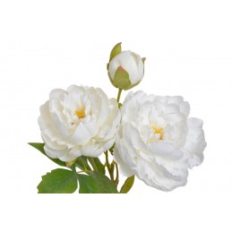 Piwonia 2+1..54cm - sztuczna roślina