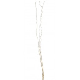 Kuva 3szt-paczka, 160cm - susz BLEACHED..150-160cmH