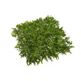 Mata 50x50cm GREEN - art. dekoracyjny