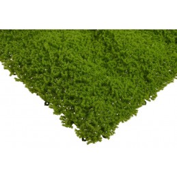 Mata 50x50cm APPLE GREEN - art. dekoracyjny