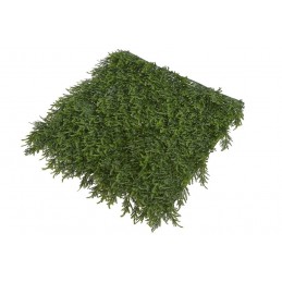 Mata 50x50cm DK GREEN - art. dekoracyjny