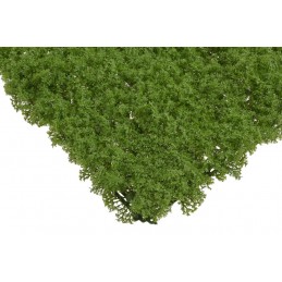 Mata 50x50cm DK GREEN - art. dekoracyjny