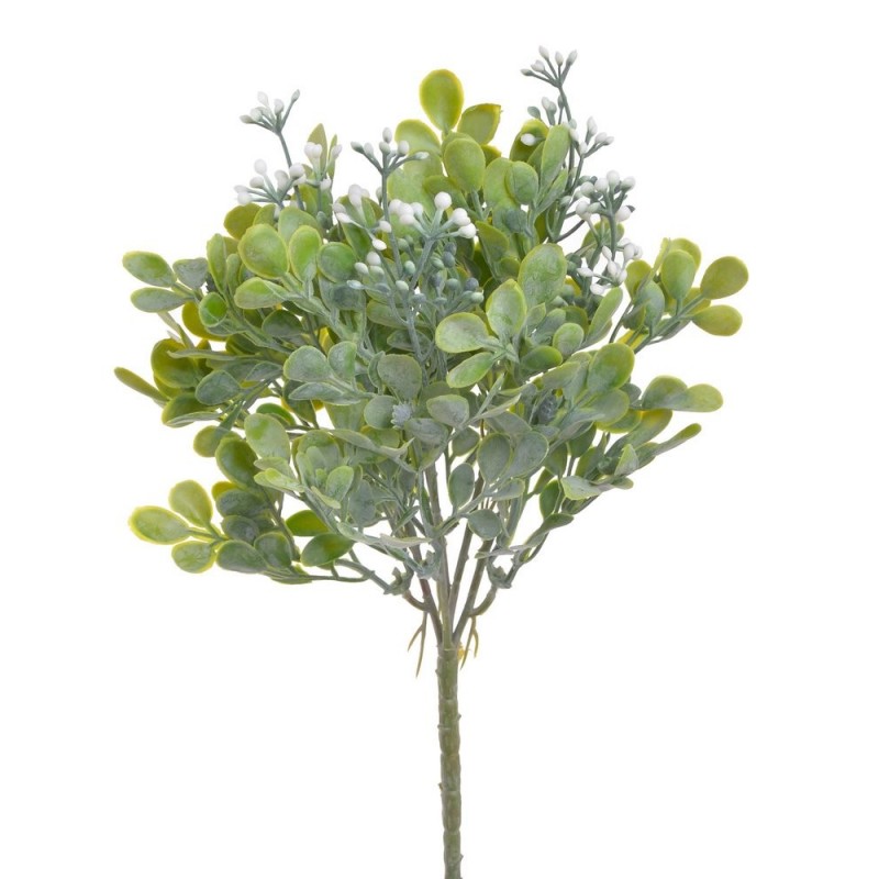 Bukszpan ..29cm..336-84 pcs......02 WHITE-GREEN