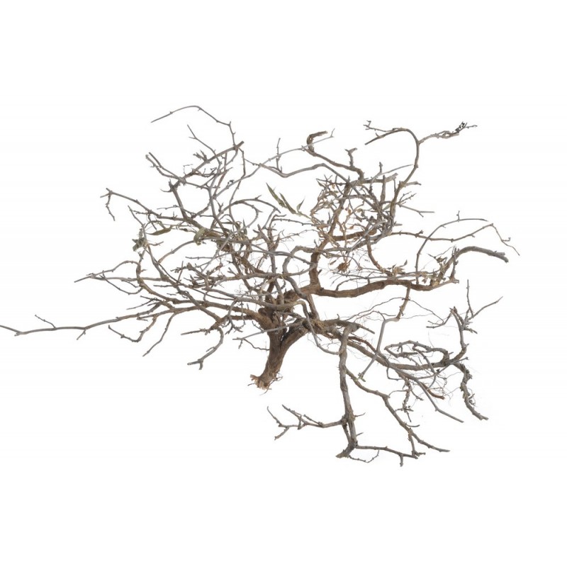 Dry tree/Tiny skeleton natur.-pacz 500g...12 - 30 cm - susz dekoracyjny