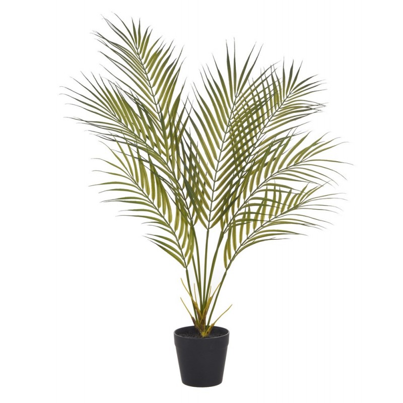 Palma w doniczce..80cm....GREEN