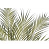Palma w doniczce..80cm....GREEN