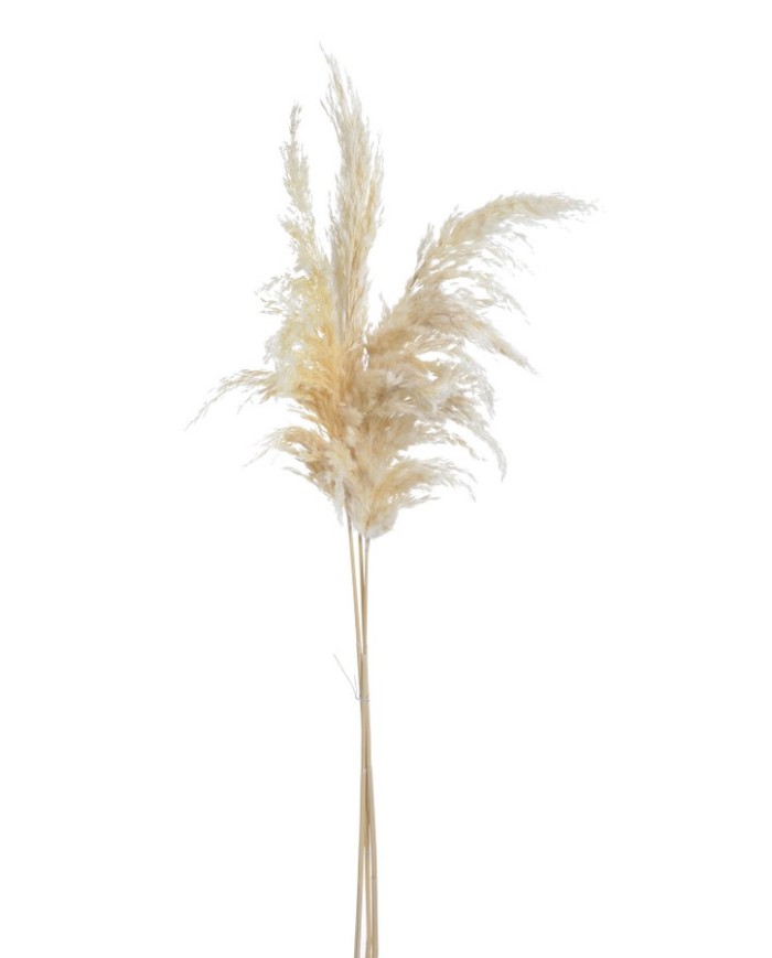 Trawa pampasowa 3szt/paczka CREAM..90-100cm