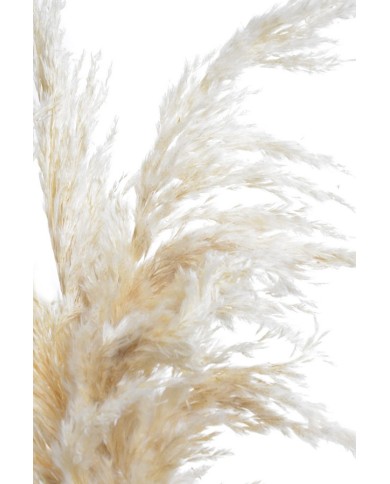 Trawa pampasowa 3szt/paczka CREAM..90-100cm