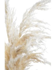 Trawa pampasowa 3szt/paczka CREAM..90-100cm