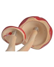 Muchomory ceramiczne H21cm...R-W-BE