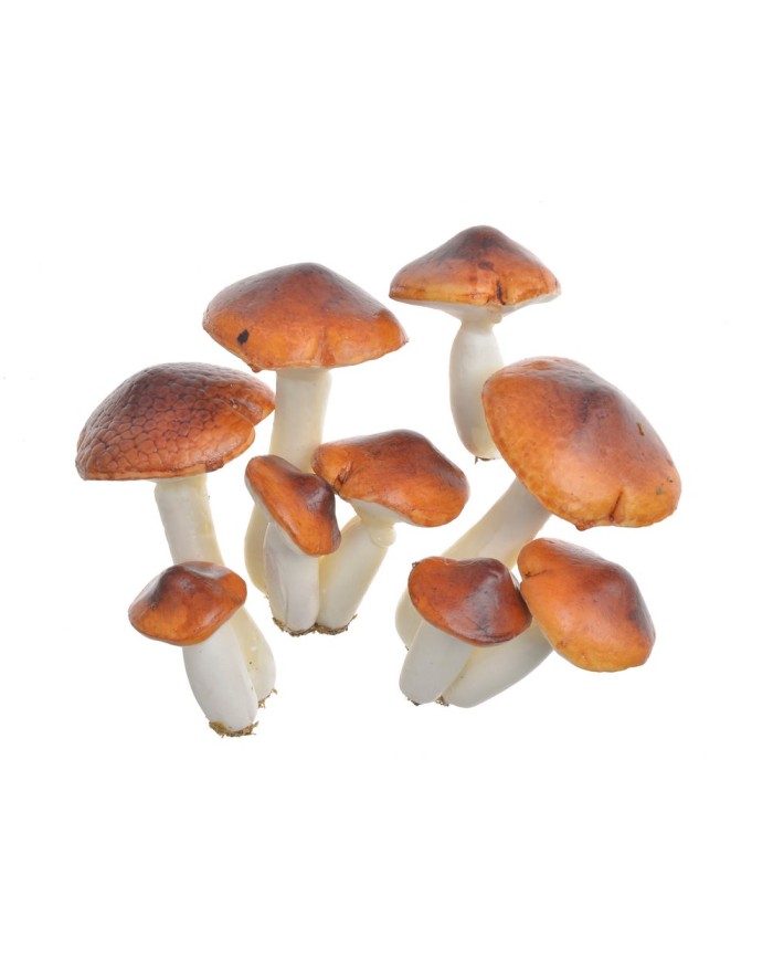 Sztuczne grzyby potrójne 3szt-pacz...10cmH...BROWN