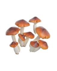 Sztuczne owoce mix 12szt-kpl..2,5-6cmH...MULTICOL