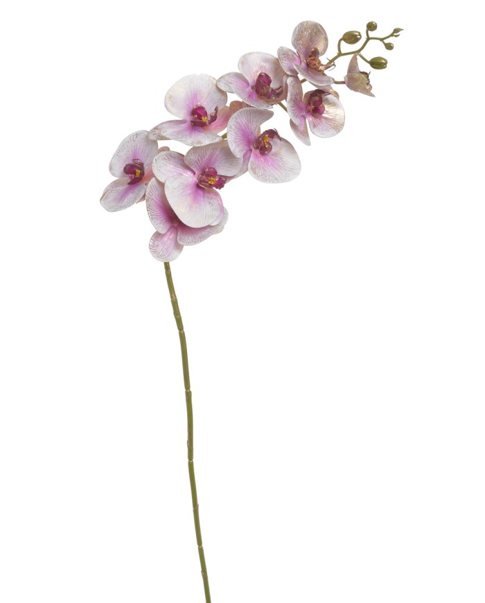 Storczyk x1..97cm - sztuczna roślina
