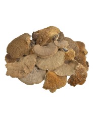 Sponge mushroom medium (250g-pacz) -susz..10-14cm..32-1 bags..250 g-bag....NATURAL