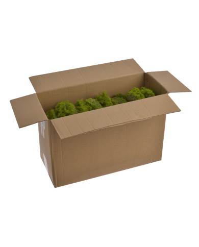 Omszałe kamienie w kartoniku 1kg