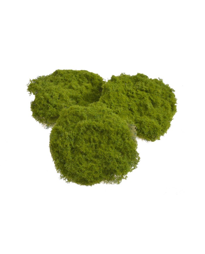 Omszałe kamienie w kartoniku 1kg