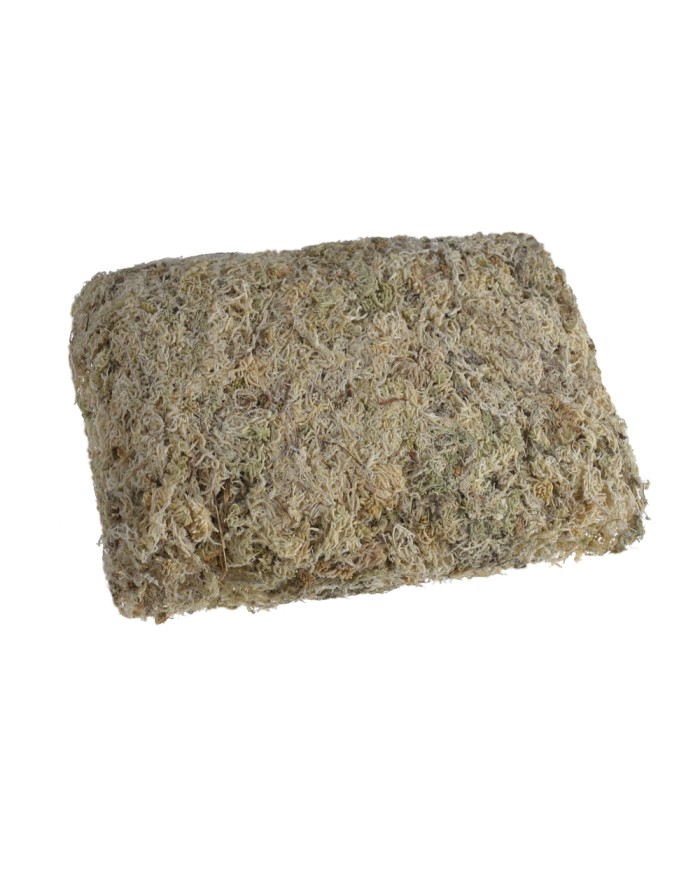 Mech Torfowiec SPHAGNUM Mech 100g/pacz