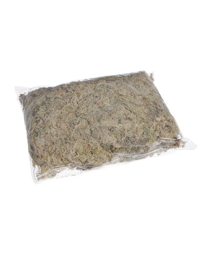 Mech Torfowiec SPHAGNUM Mech 100g/pacz