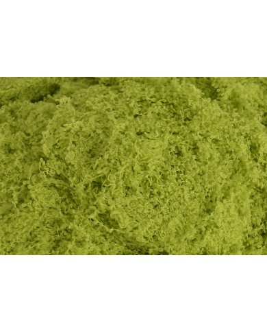 Imitacja mchu 100g/pacz