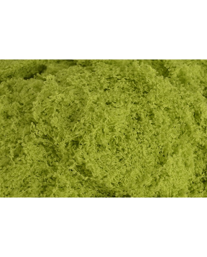 Imitacja mchu 100g/pacz