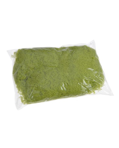 Imitacja mchu 100g/pacz