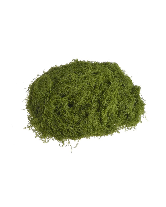 Imitacja mchu 100g/pacz