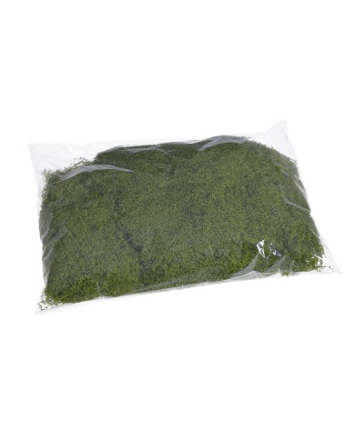 Imitacja mchu 100g/pacz