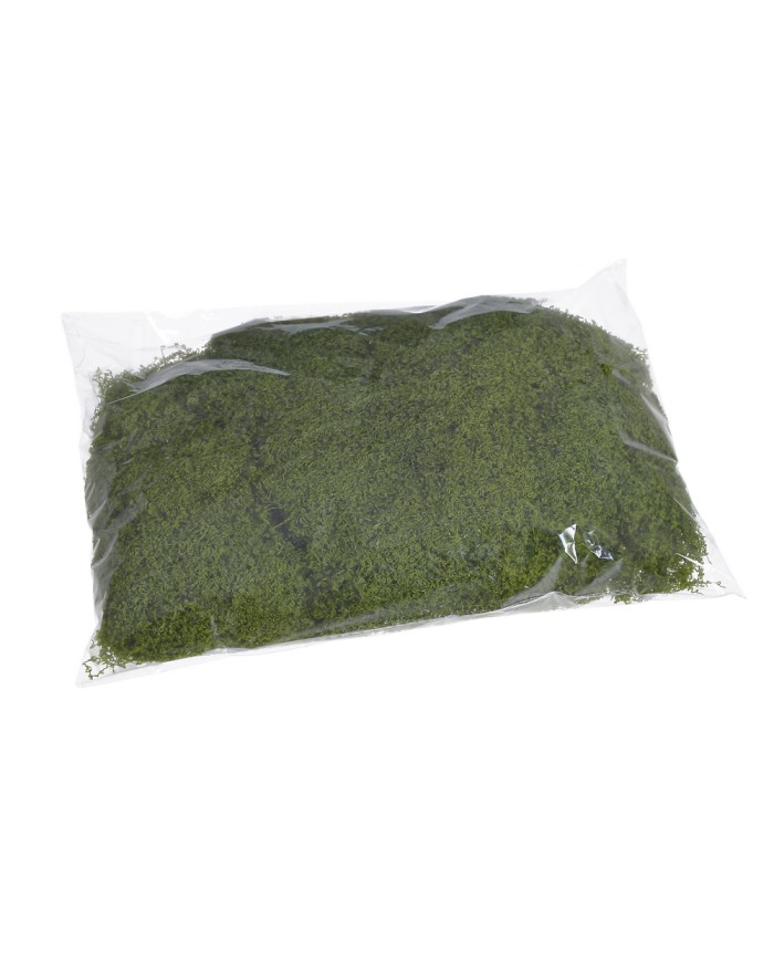 Imitacja mchu 100g/pacz