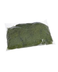 Imitacja mchu 100g/pacz