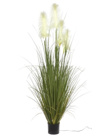 Trawa pampasowa w doniczce LED..180cm....GREEN-WHITE