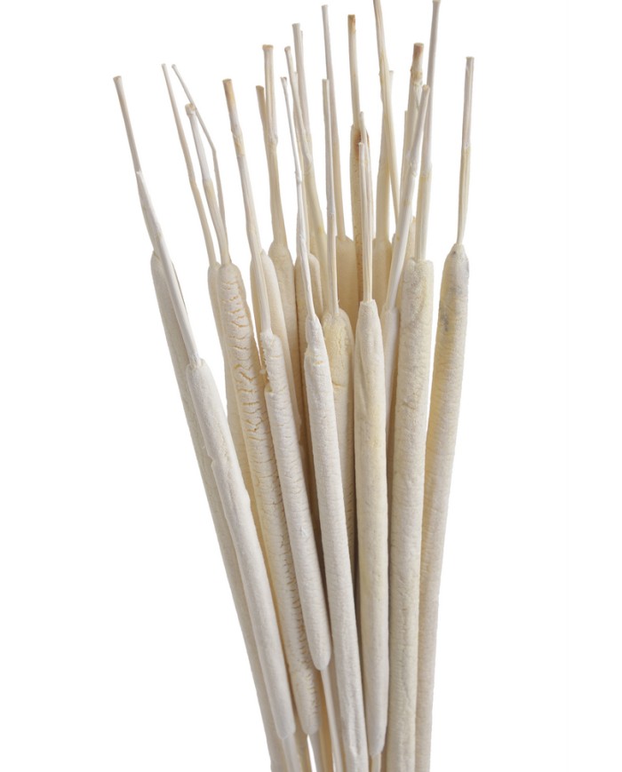 Hogla medium wyb. 25szt-pacz -susz..70cm..60-1 bags..25 pcs-bag....BLEACHED