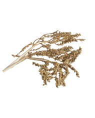 Canella-pacz.10szt/paczka..20-25cm...NATURAL