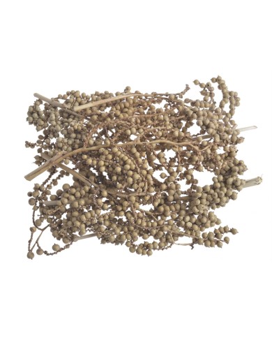 Canella-pacz.10szt/paczka..20-25cm...NATURAL