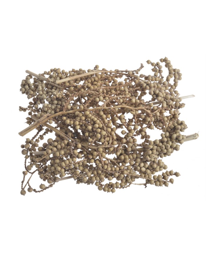 Canella-pacz.10szt/paczka..20-25cm...NATURAL