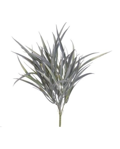 Dracena..46cm..300-60 pcs