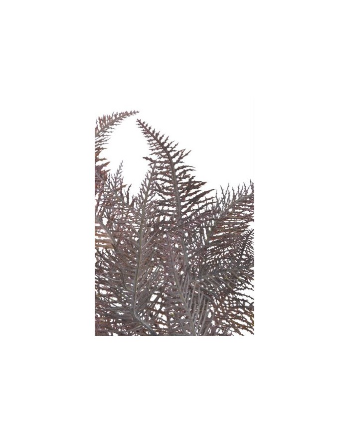 Paproć..45cm..300-50 pcs