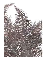 Paproć..45cm..300-50 pcs