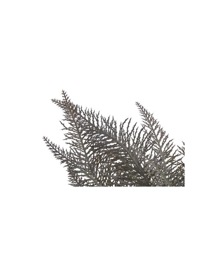 Paproć..45cm..300-50 pcs