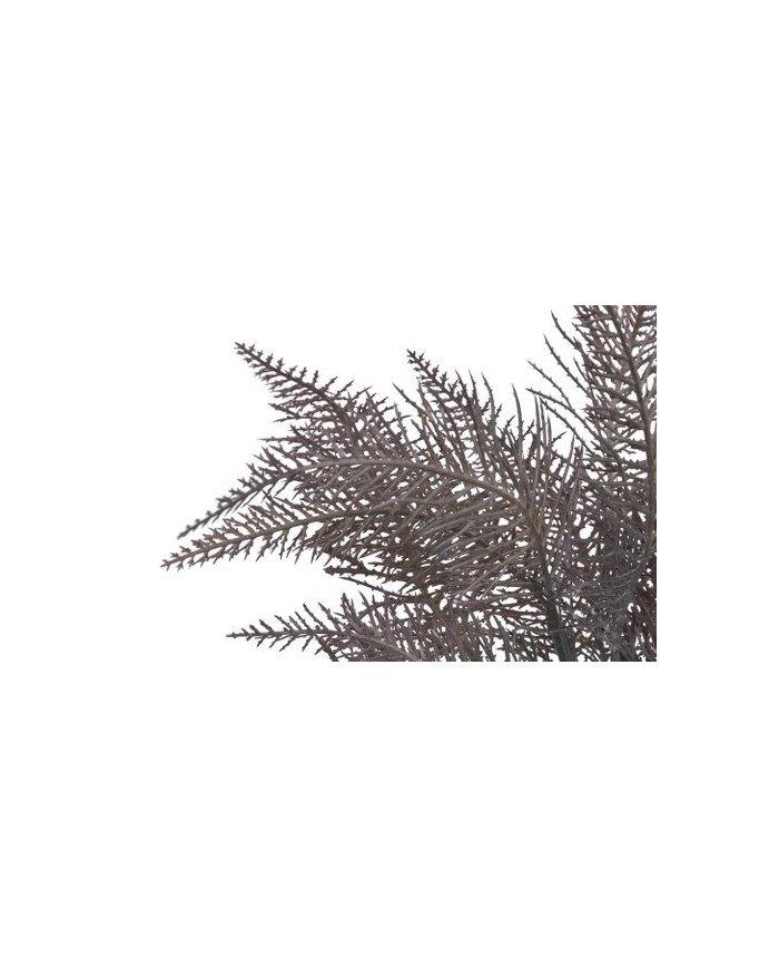 Paproć..45cm..300-50 pcs