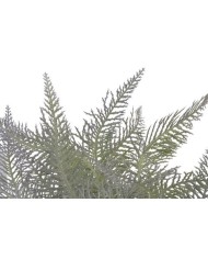 Paproć..45cm..300-50 pcs