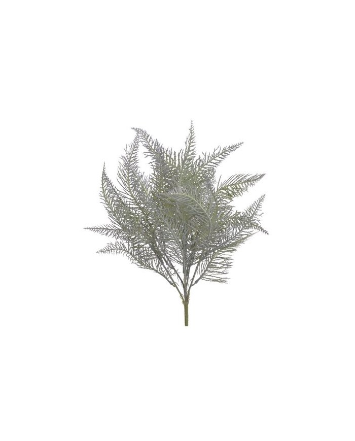 Paproć..45cm..300-50 pcs