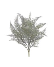 Paproć..45cm..300-50 pcs