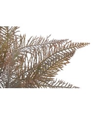 Paproć..45cm..300-50 pcs