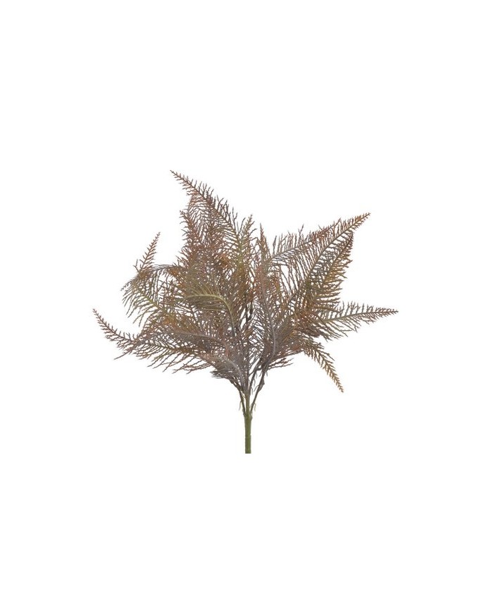 Paproć..45cm..300-50 pcs